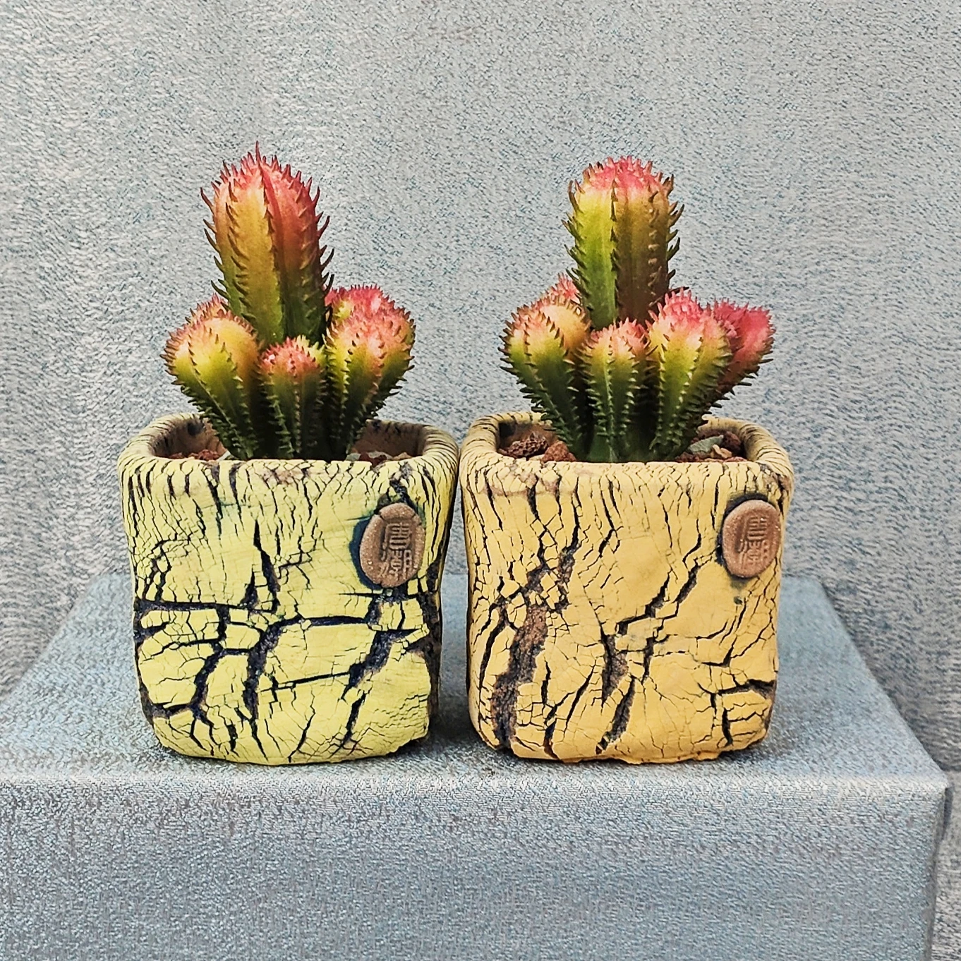 8. Nature's Canvas: Unleashing The Beauty Of Ceramic Plant Pots In Canada