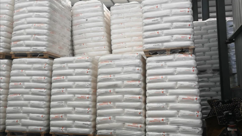 PO film .mp4nmbnb.png