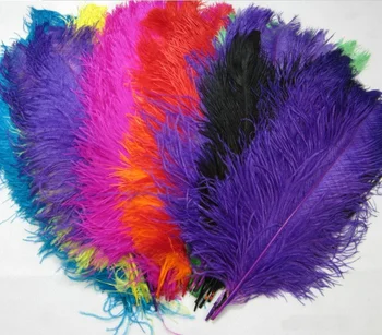 plume feathers for sale