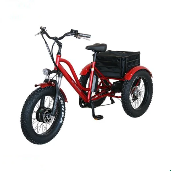 triciclo de carga rodada 20