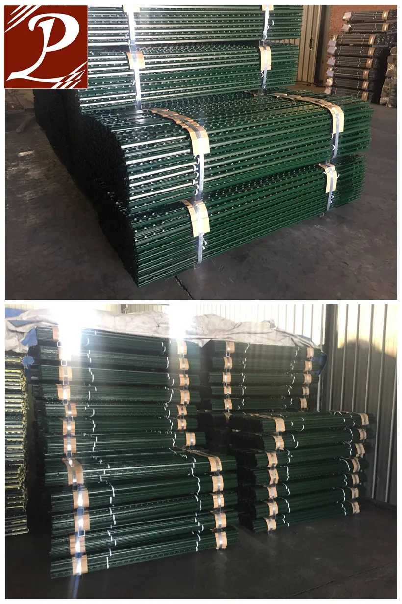 T Fence Post Buy American Steel Studded Fence Post Green Painted