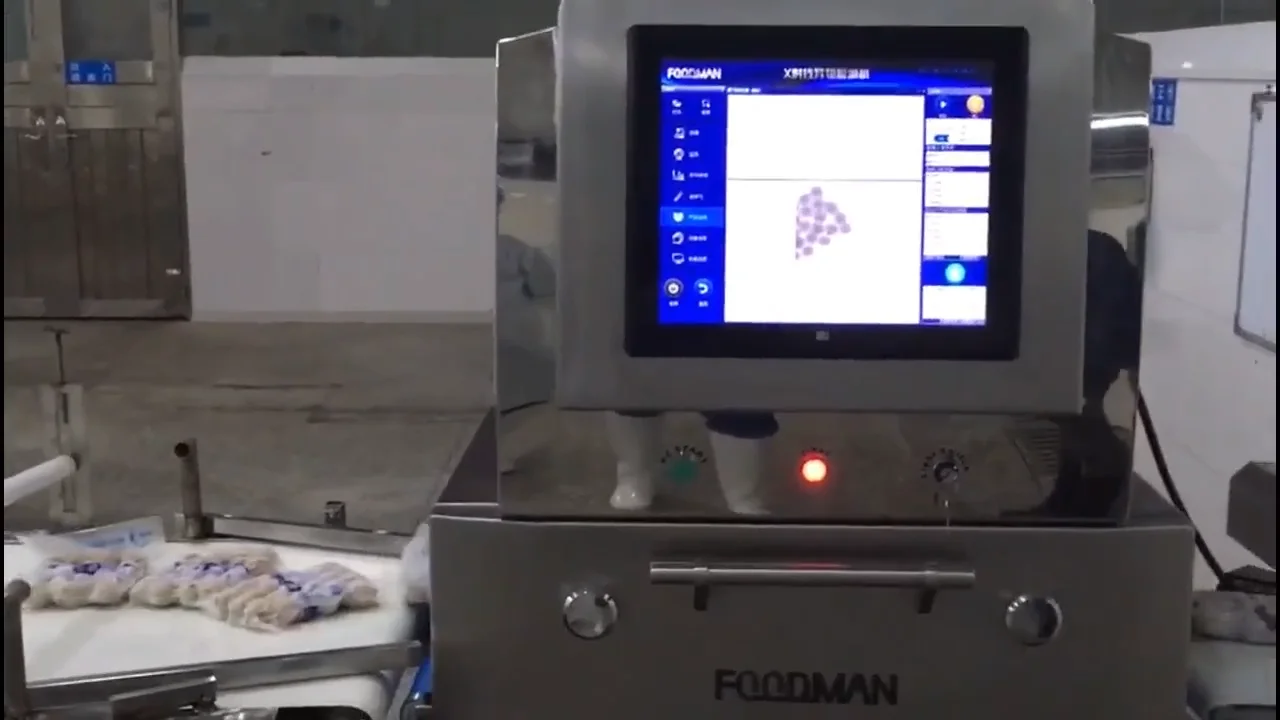 Top Sale Industrial Conveyor Belt Digital Food X Ray Inspection And