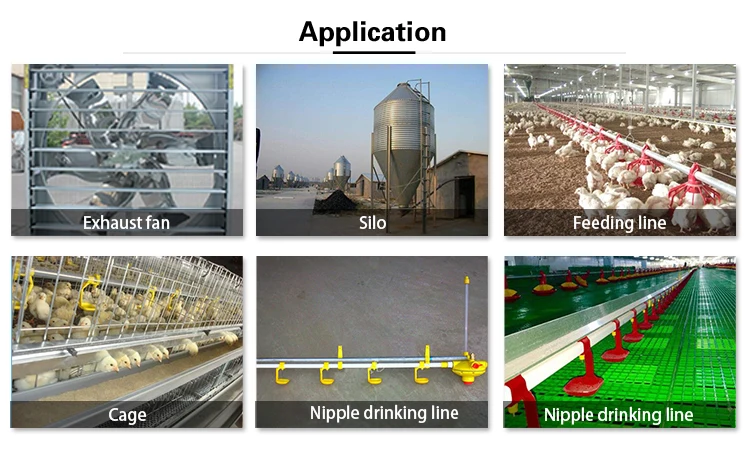 Poultry-Feed-Production-Line Feeding Line For Poultry Chicken Feeder Machine