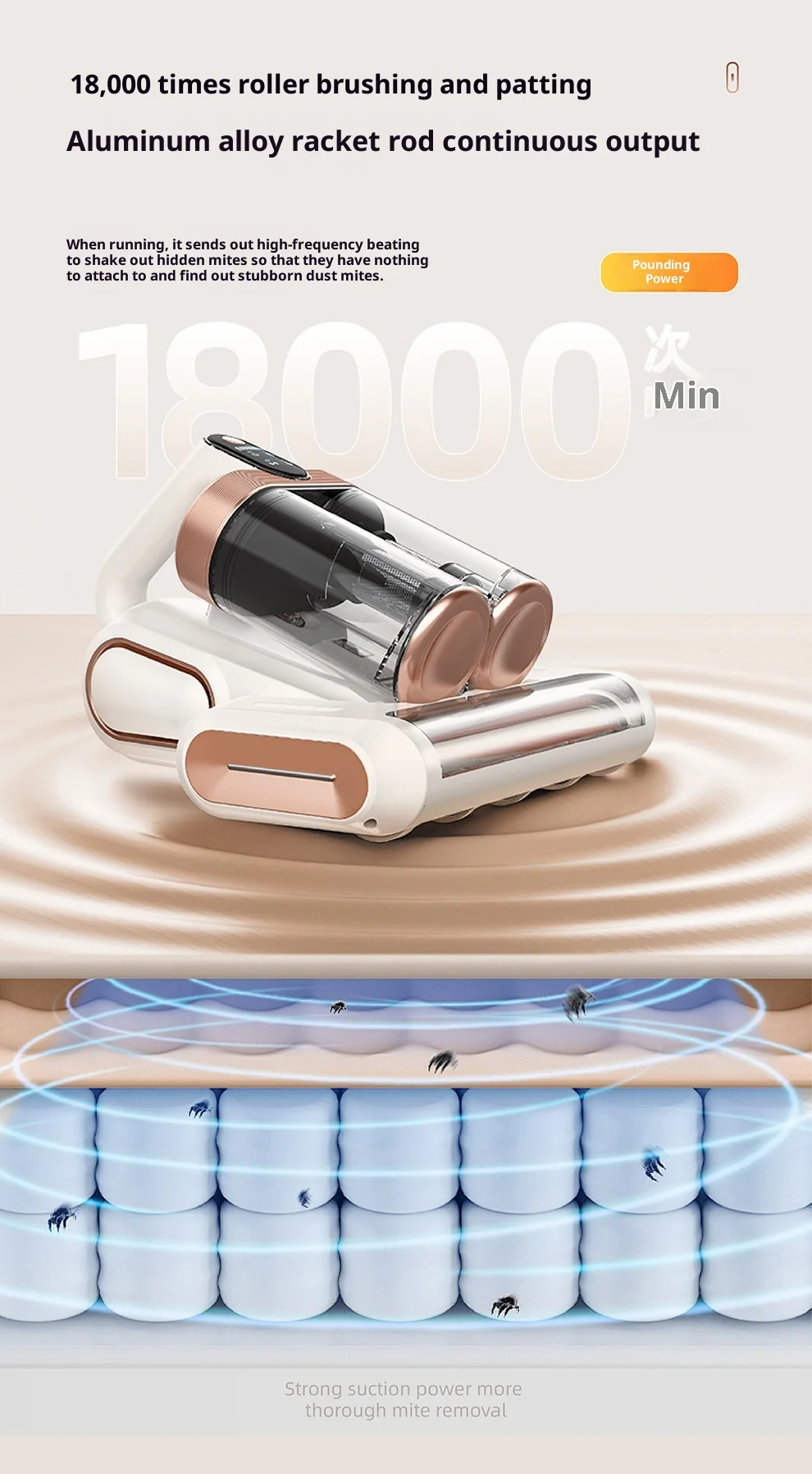 Dual dust cup roller brush