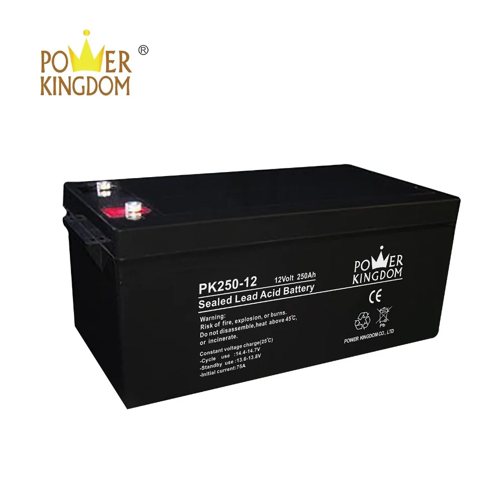 Power Kingdom ah deep cycle battery customization