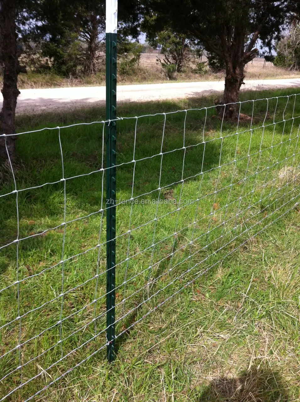 50*8ft High Tensile Fixed Knot Cattle Fence/grassland Fence/livestock ...