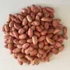 Raw Peanuts, peanut, Roasted, Raw Ground nuts