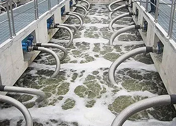 Mining Chitosan Polymer Flocculant Polyacrymide PAM