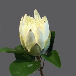 bridal wedding bouquet