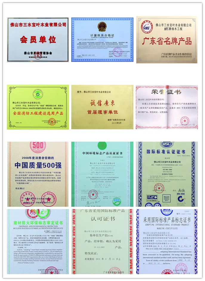 Certificate-01