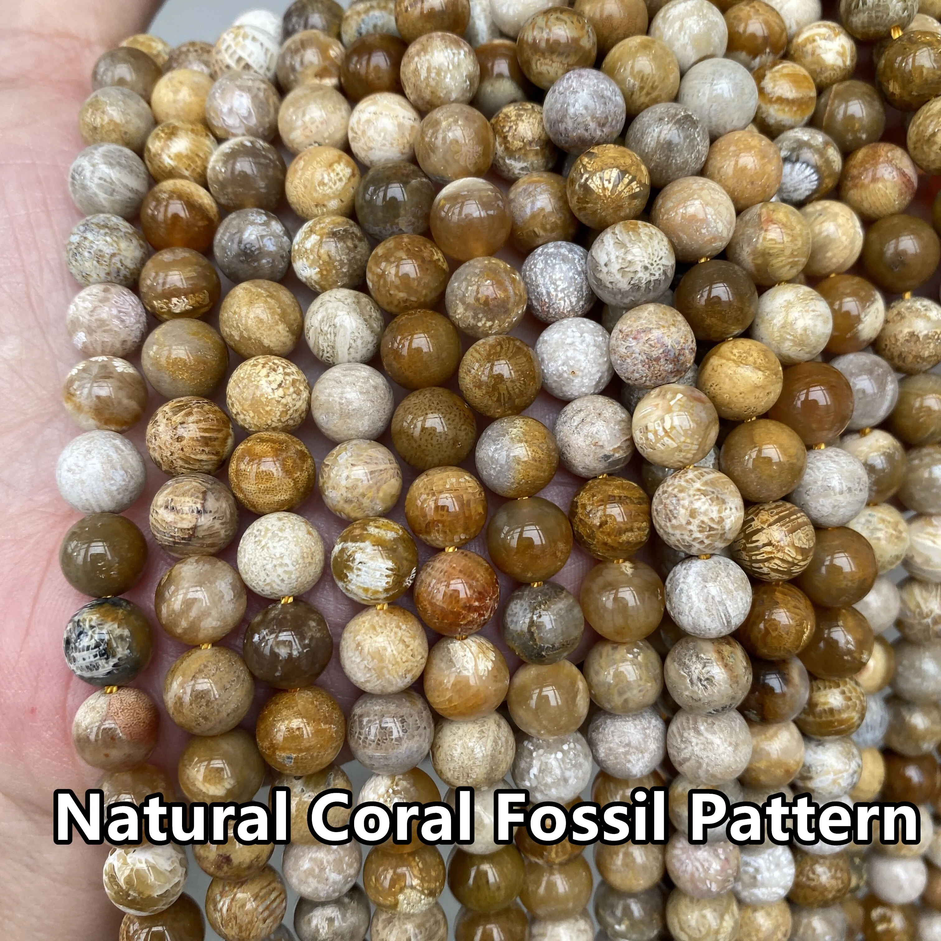 Fossilized Coral Jasper Natural Stone Gemstone Loose Round 6/8/10mm Beads Strand Coral Jasper