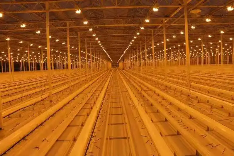 Agricultural Multi Span Clear Glass Greenhouse Buy Clear Glass,Glass