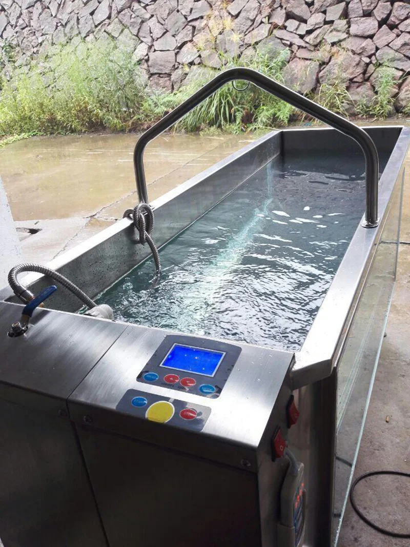 Animal Hydro Under Water Treadmill Pet Economic Electric Treadmill