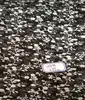 Narrow/Wide width Stocklot floral printed cotton fabric