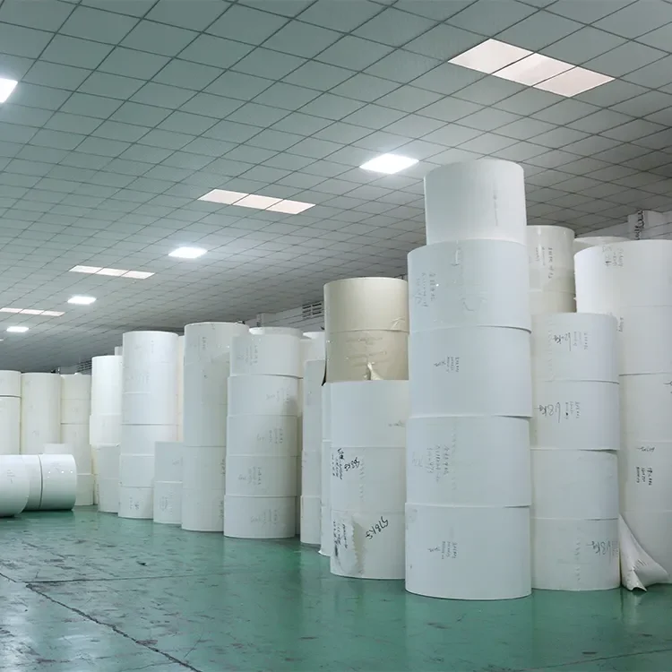 Superior Quality Raw Materials Paper Cups In Jumbo Roll Ecofriendly Pe