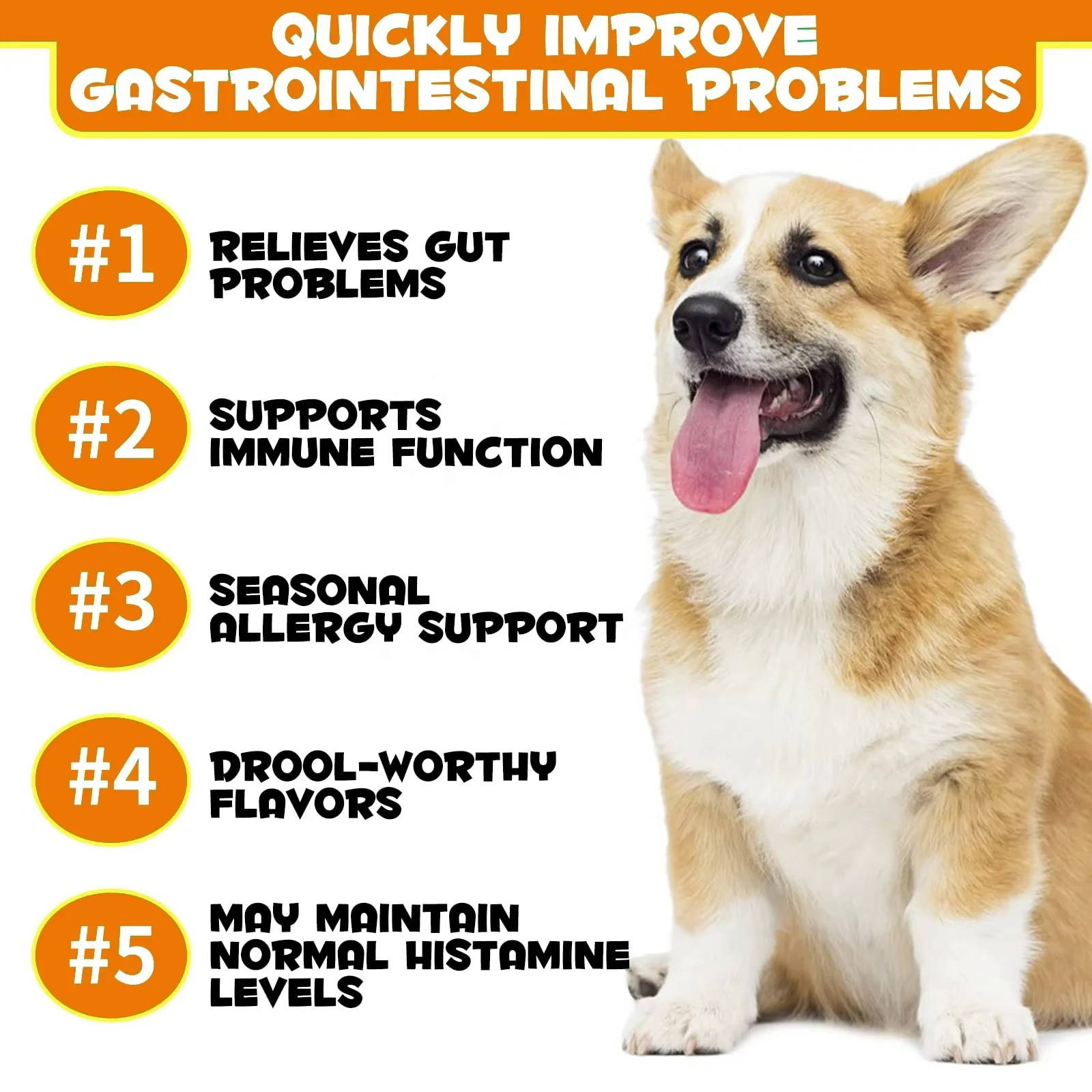 OEM/ODM 400g Natural Probiotic Soft Chews for Dog Health