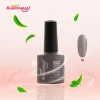 Kamayi Hot Discount Low MOQ Private Label Gray Color Nail Gel with Its Own Color Bottle 8ml Plus 2ml Nail Gel Polish