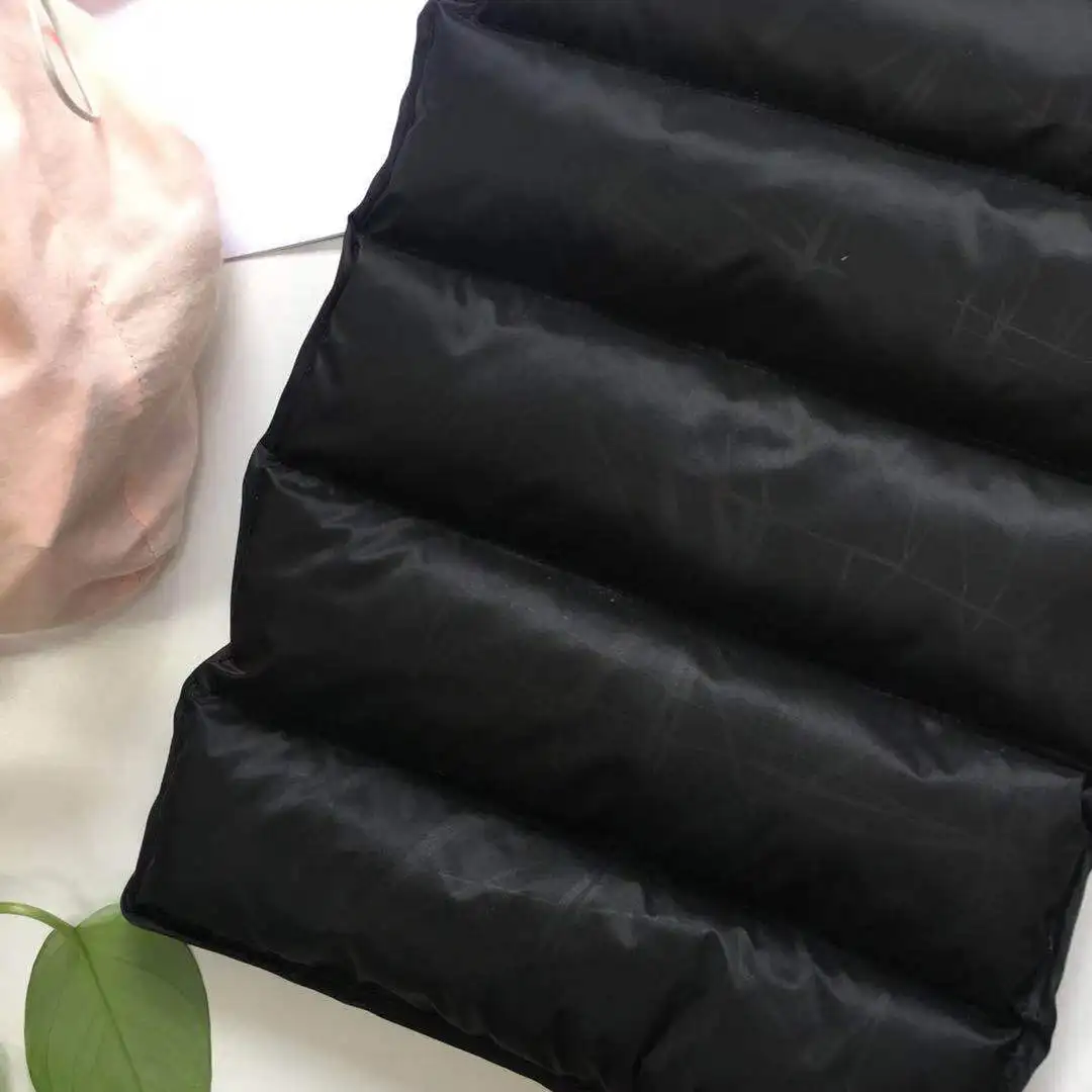 300t Nylon Taffeta Lightweight Waterproof Fabric Down Jackets 100