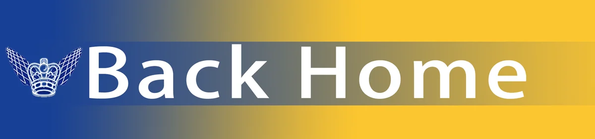 5pcs diameter Double Cut Solid Carbide Rotary Burr File Set 1/4 Inch Long Shank Carbide Burrs