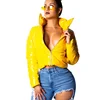 4 Colors Padded Bubble Quilted Down Jacket For Women 3XL