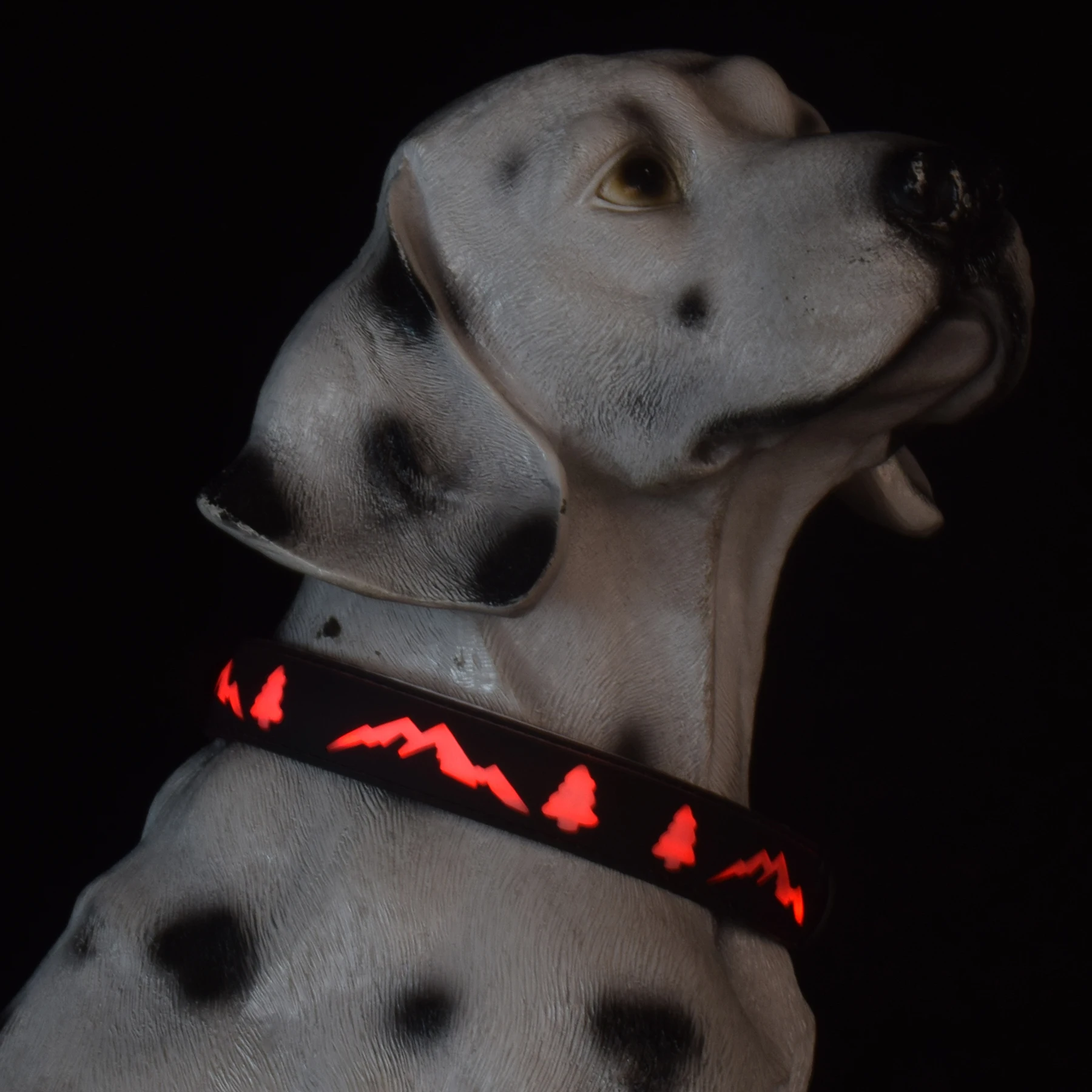 Adjustable Pet Led Dog Collars Charge Nylon Flashing Light Up Led Dog