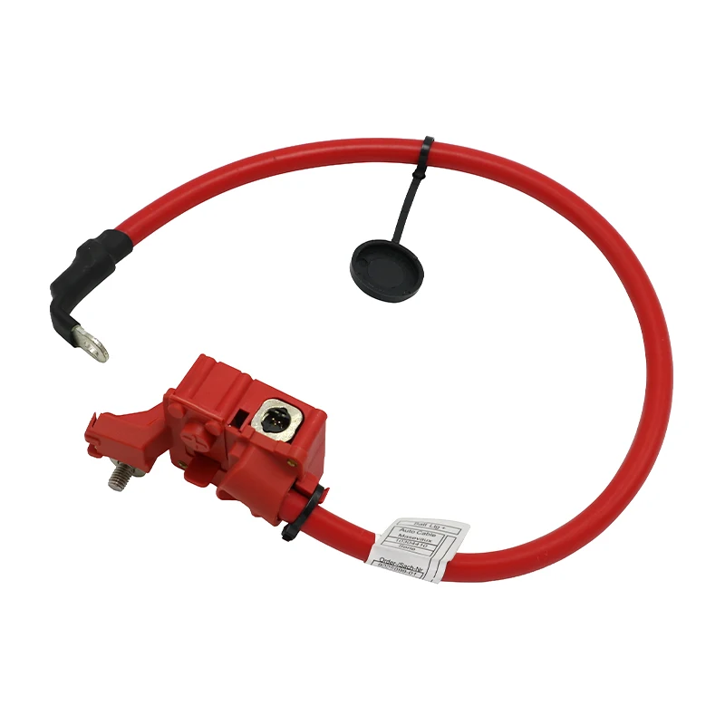 61129225099 Automobile Positive Battery Lead For Bmw X3 F25 Battery