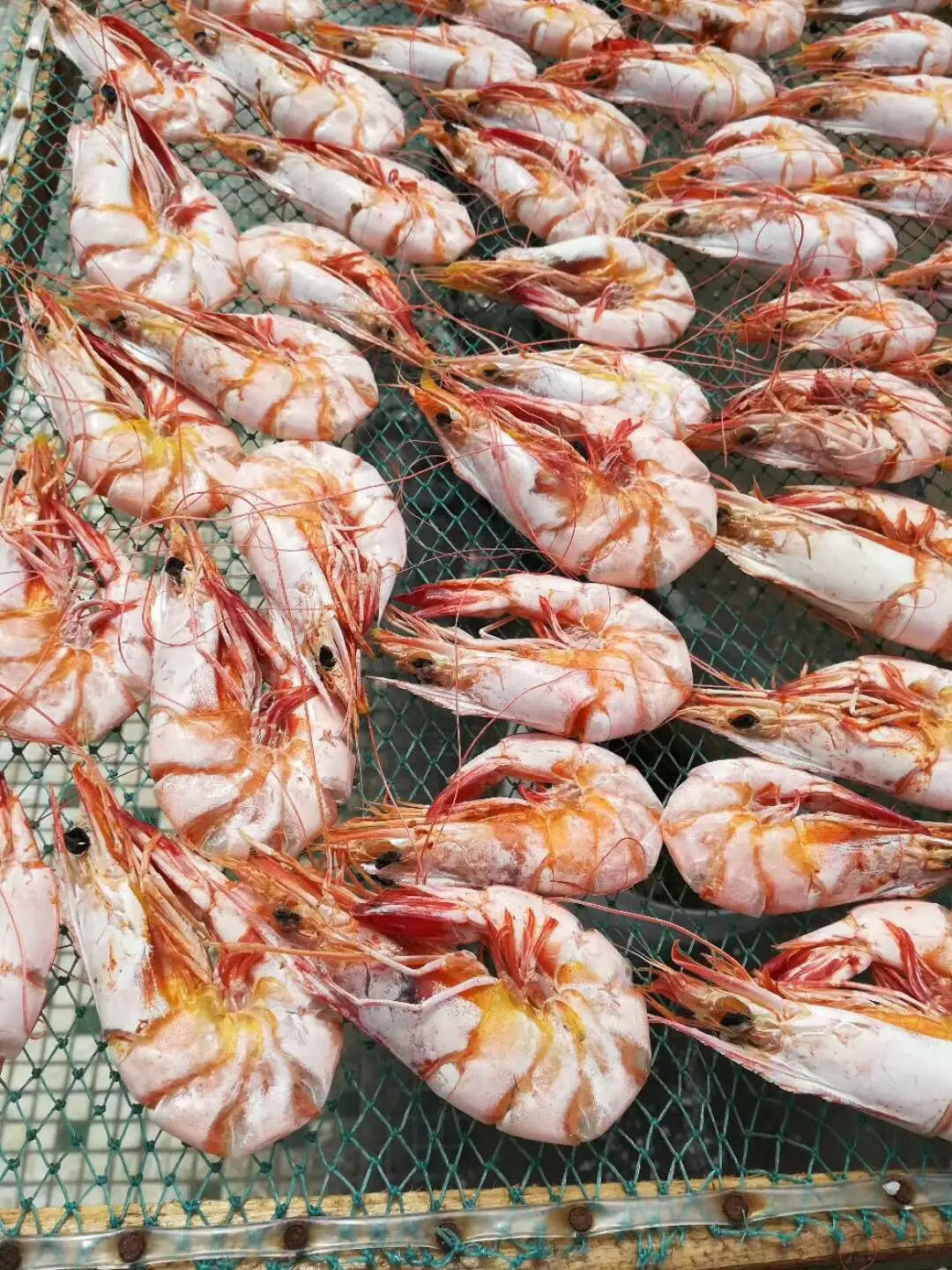 Hello River Brand Dryer Hot Air Cold Air Sea Fish Dryer Industrial