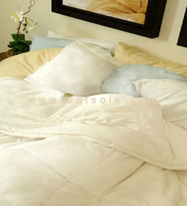 Latest Fashion All Season Weight 100 Mulberry Silk Filled Duvets