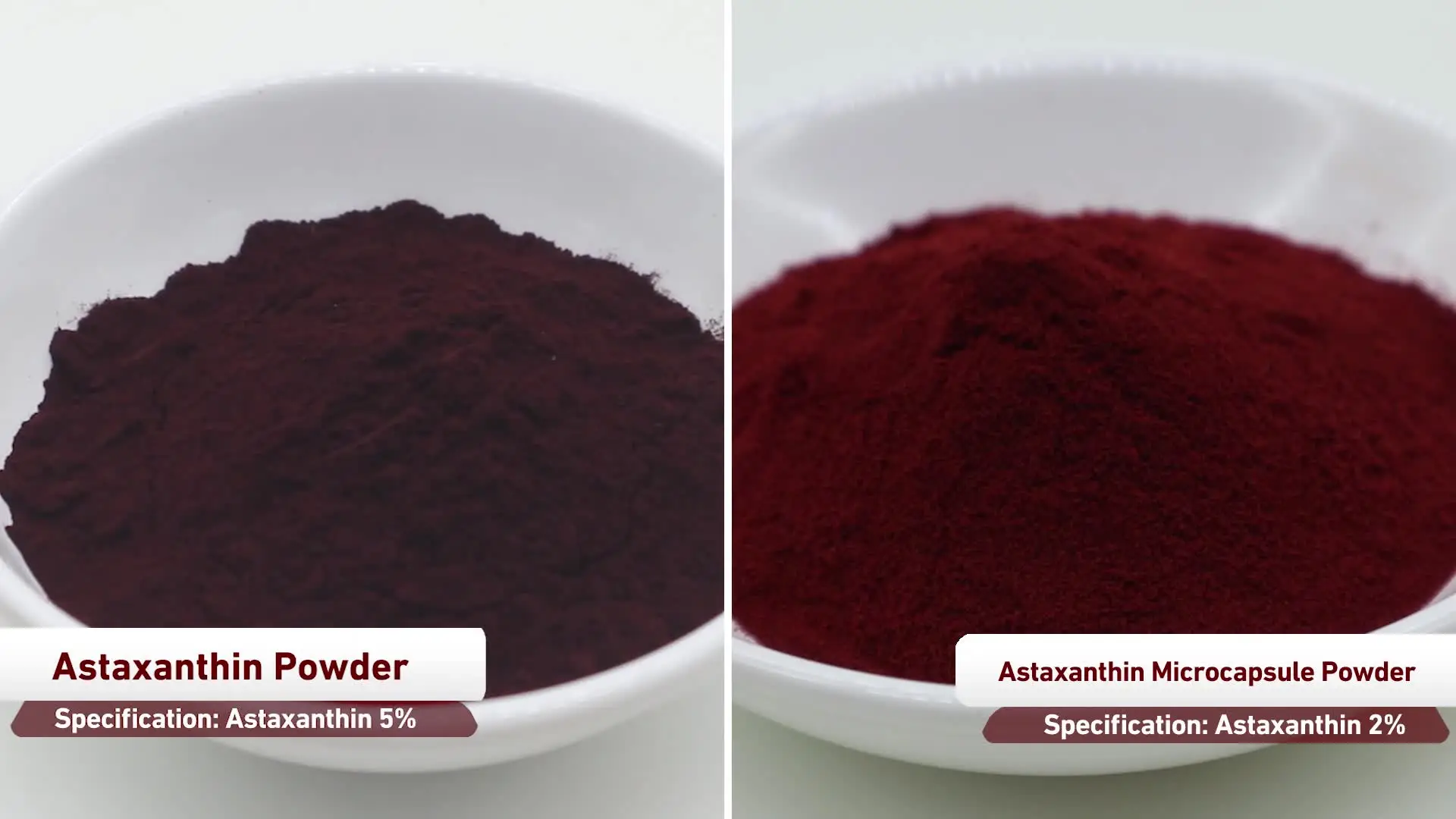Astaxanthin Manufacturer Bulk Price Natural 2% Astaxanthin Powder for Fish