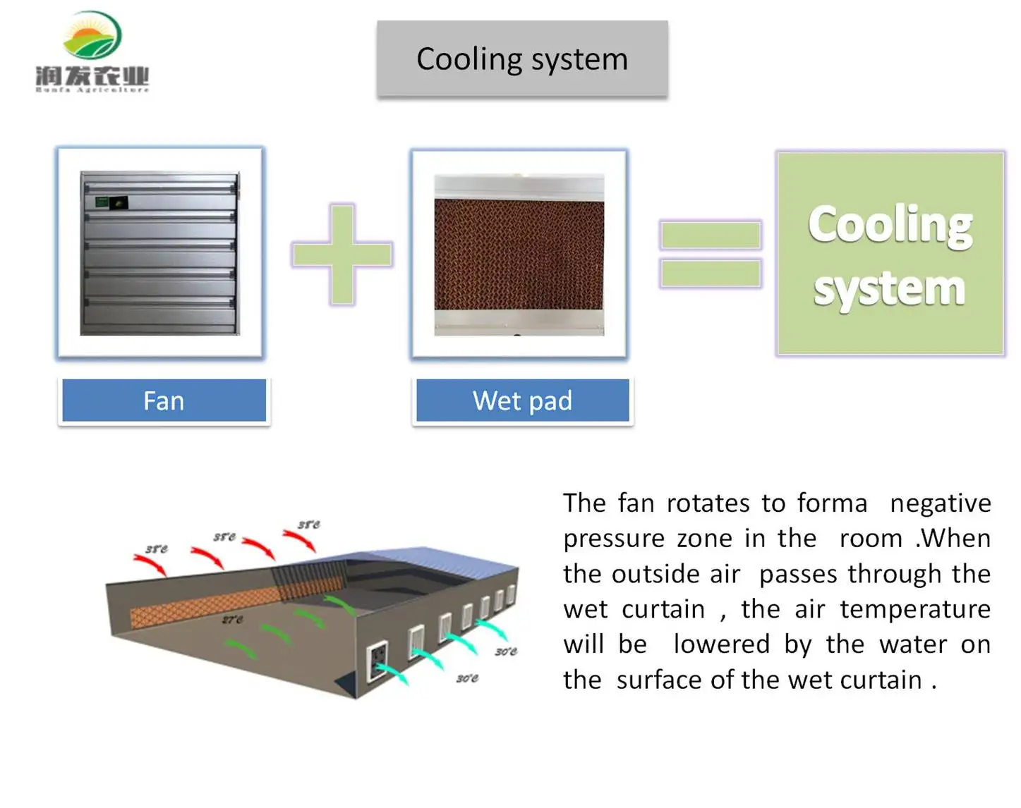 Commercial Agriculture Film Greenhouse Growing Strawberry With