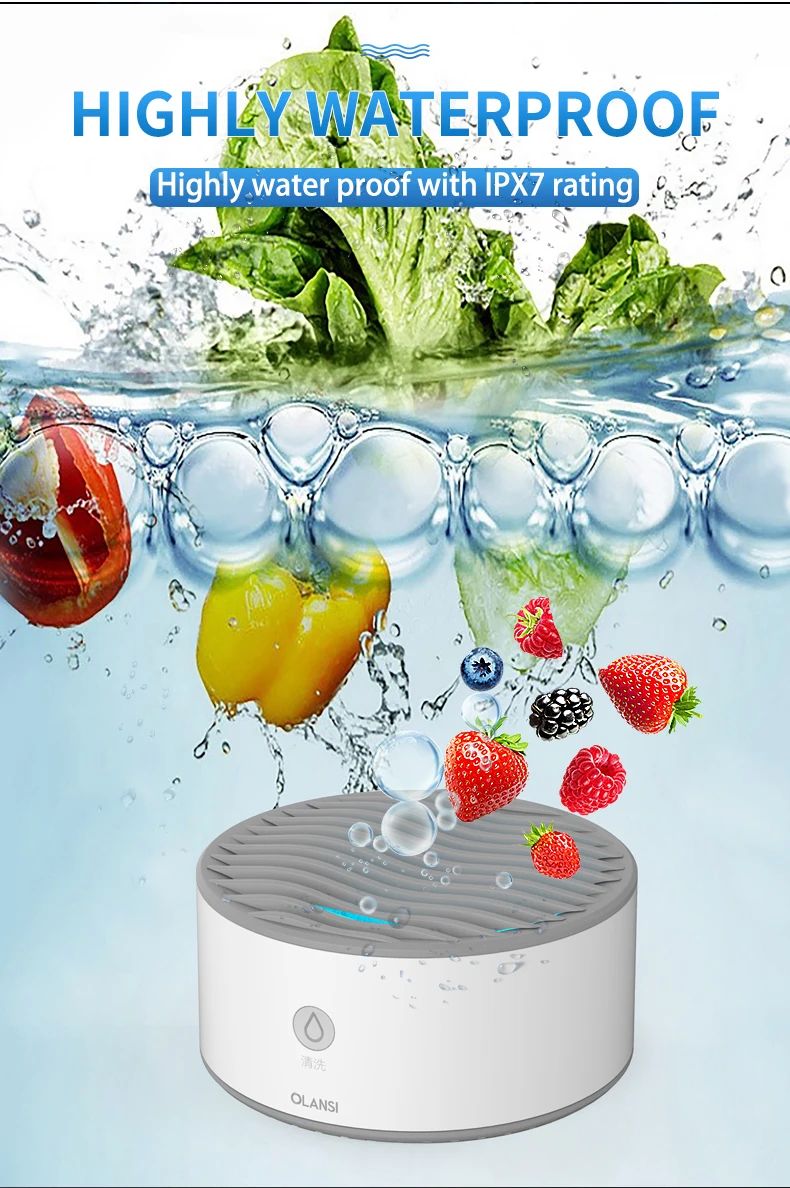Olansi Small and Portable Waterproof Rating Ozone Fruit and Vegetable Fruit Washer Industrial Fruit and Vegetable Washer Ozone