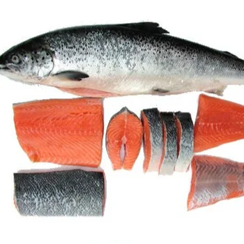 sockeye salmon photos