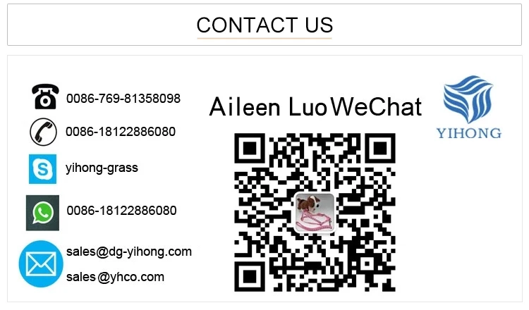 Aileen Luo.jpg