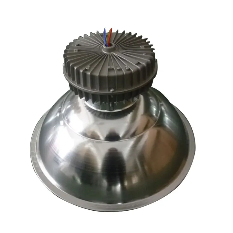 
220V 100W induction lamp 