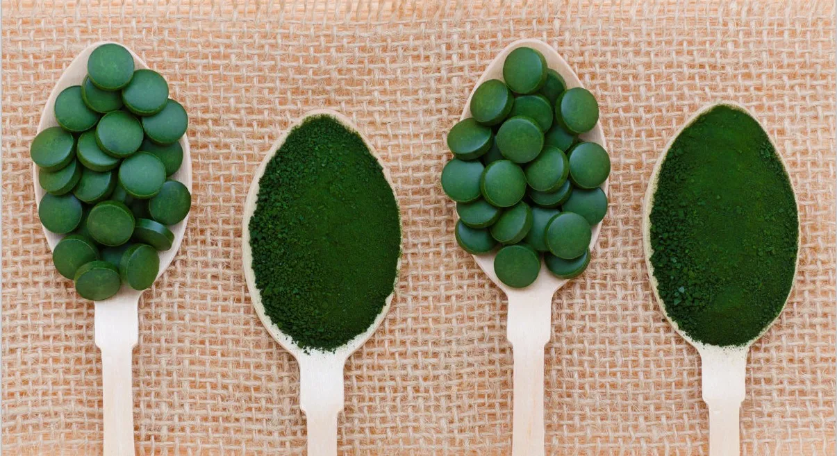 食品补充认证有机高蛋白私人标签 100% 天然螺旋藻片价格散装螺旋藻片