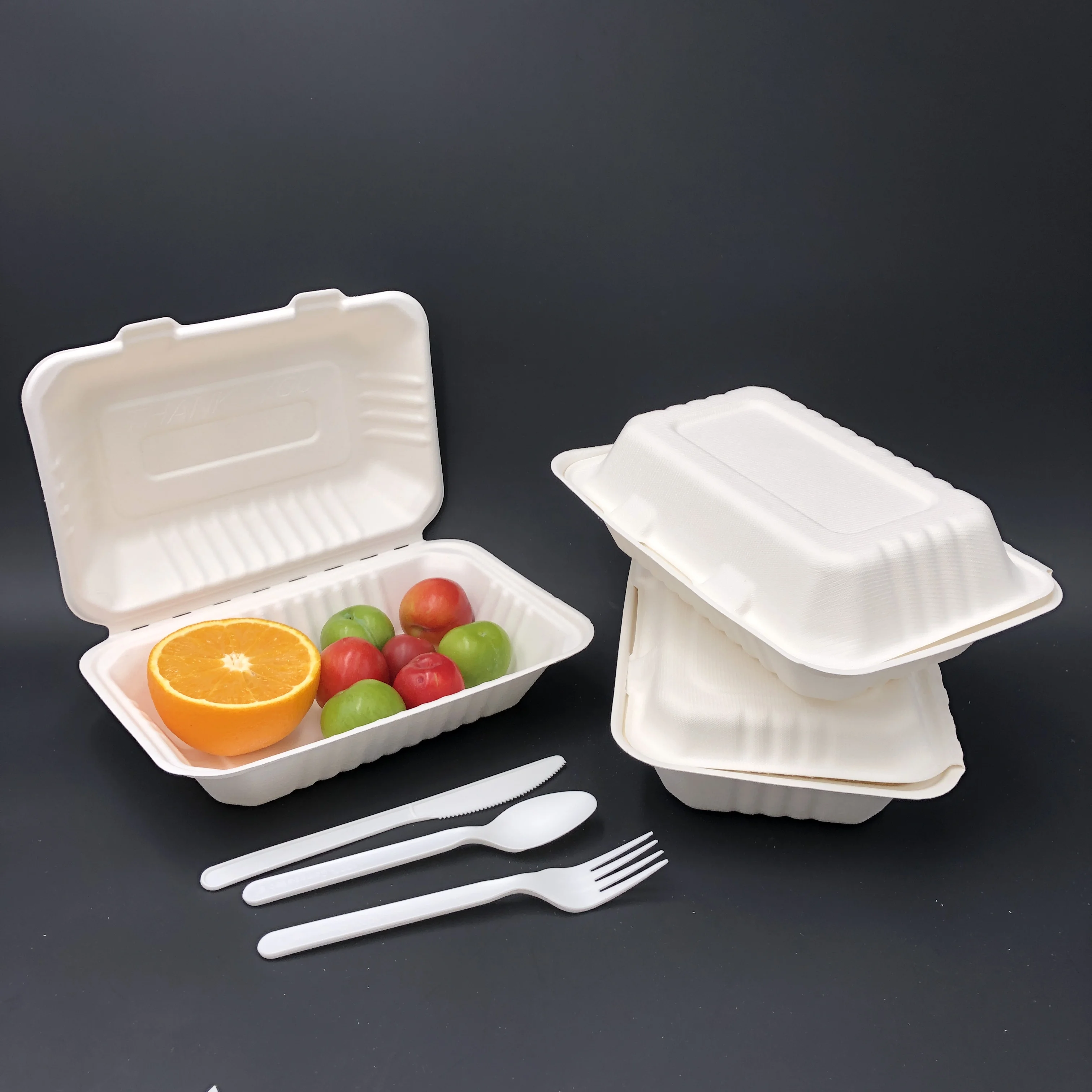 Biodegradable Sugar Cane Kids Lunchbox 9x6x3 Inch Bagasse Disposal ...