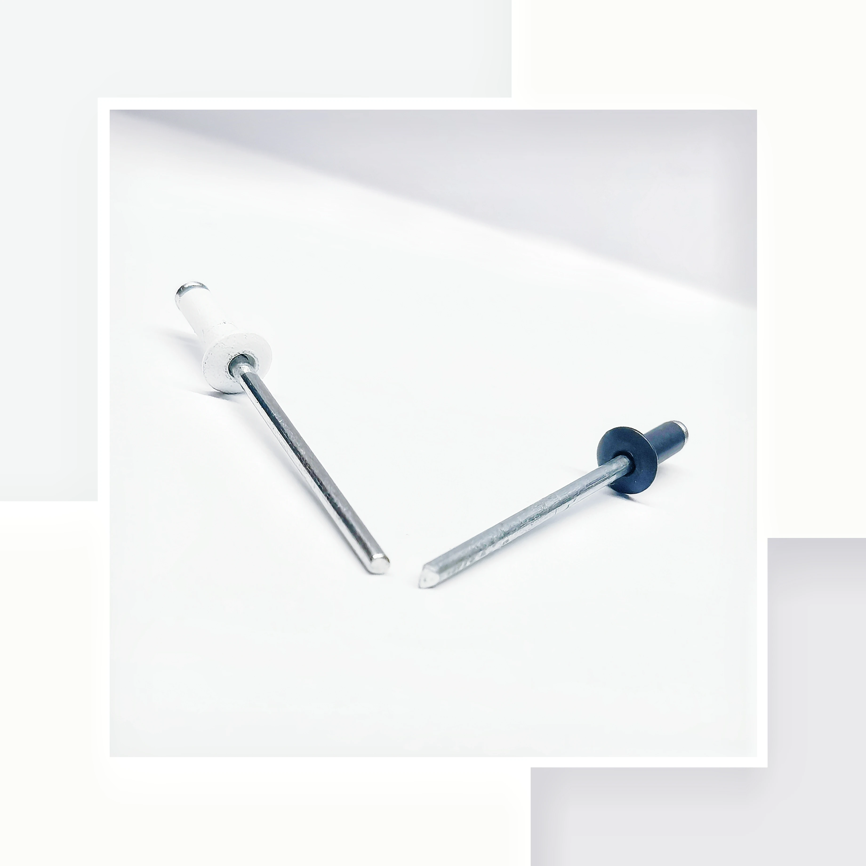 Colored Pop Rivets Break Stem Large Dome Head Trifold White Black