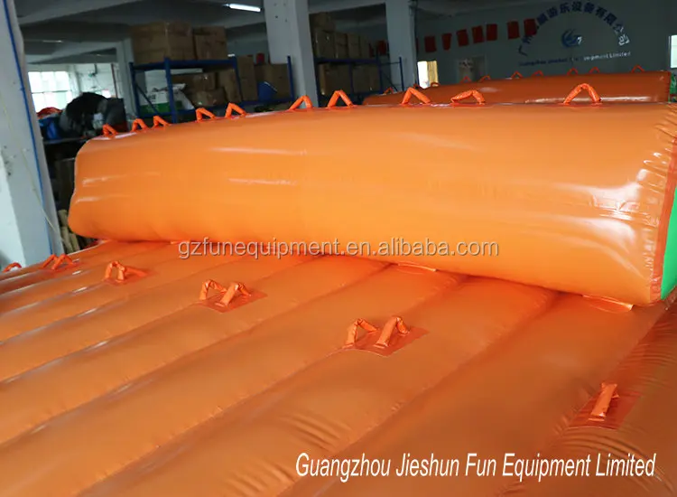 inflatable flying fish.JPG