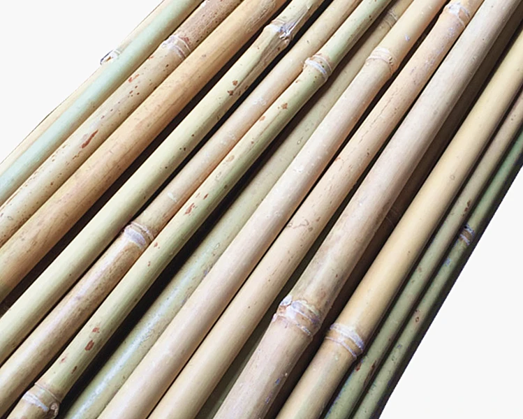 bamboo pole-13_.jpg