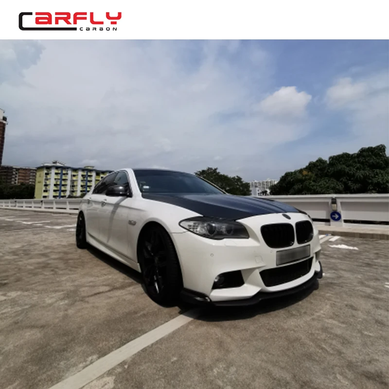 BMW F10 1.jpg