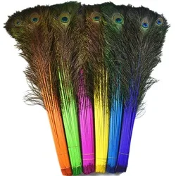 goose down feather