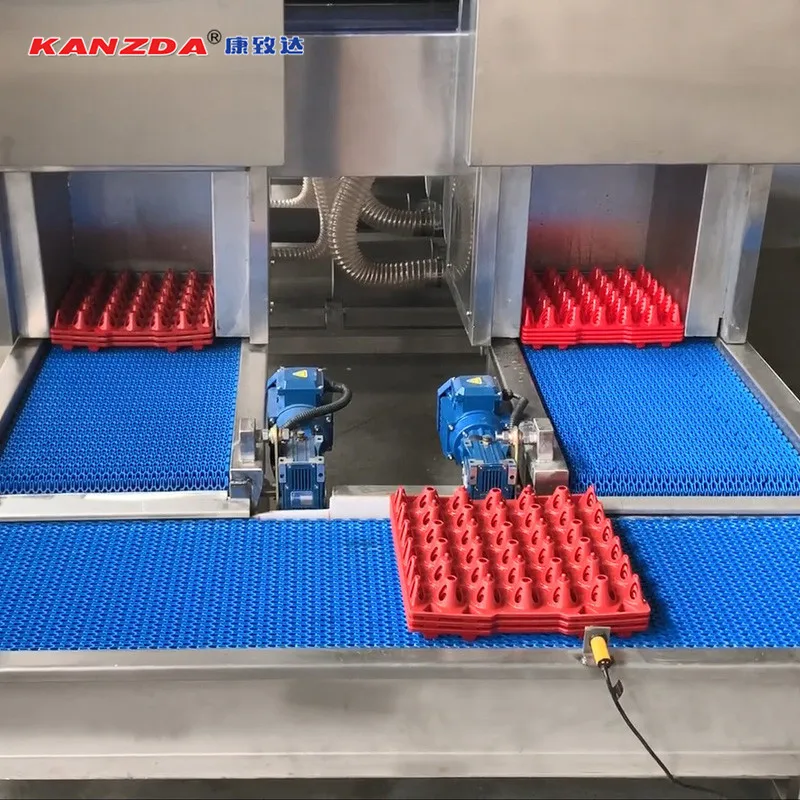 Highly customized Egg Tray Washer / Egg Tray Washing machine with high