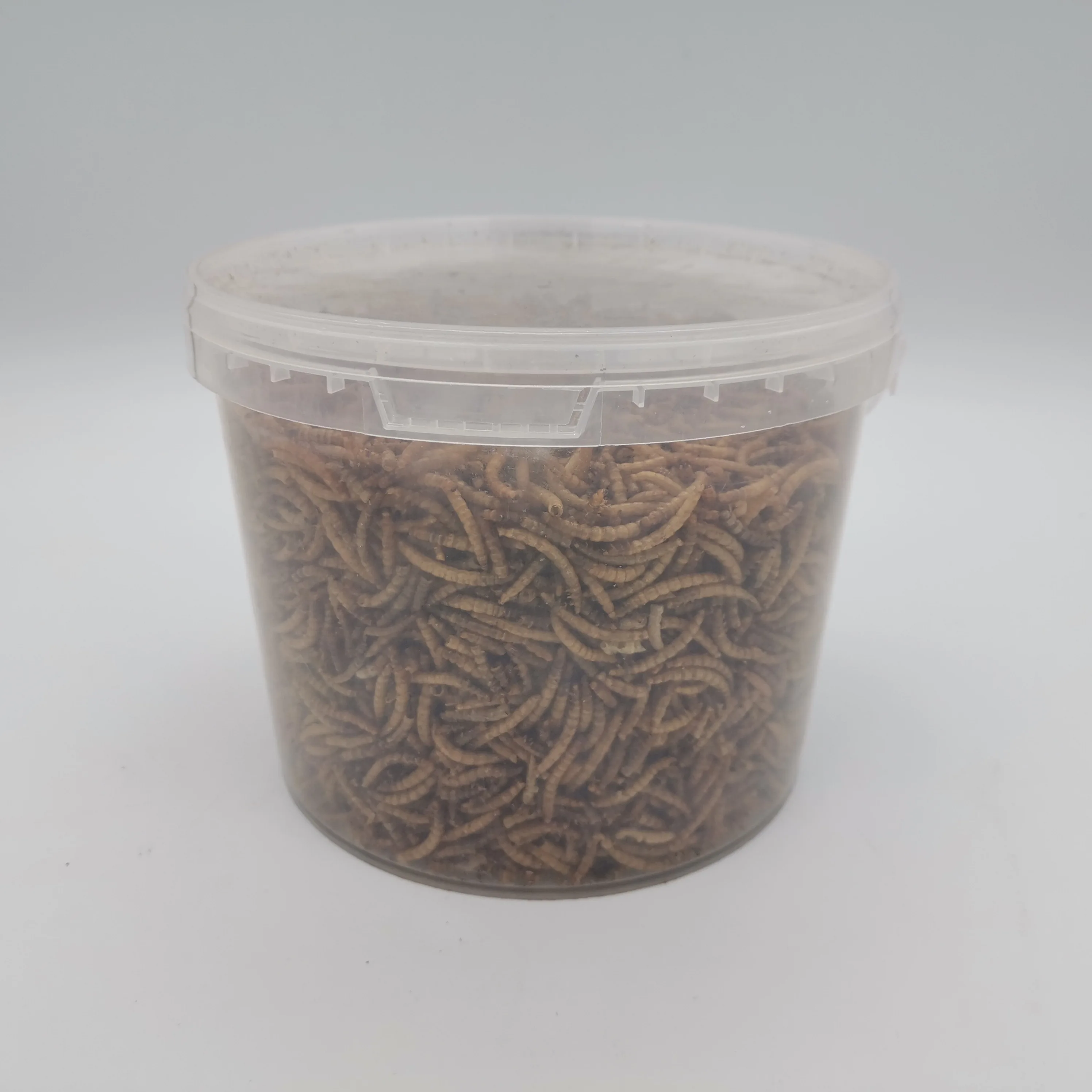 400g Dried Mealworms In Tube Pet Food Buy Mealworms Dried,Dried Mealworms,Pet Food Product on