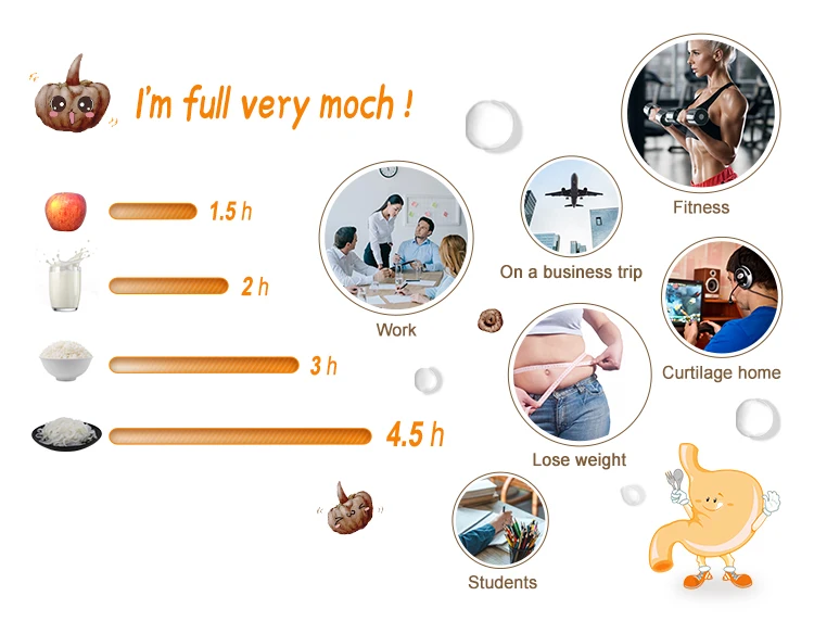 Wholesale Zero Calorie Organic Instant Spaghetti Shirataki Konjac