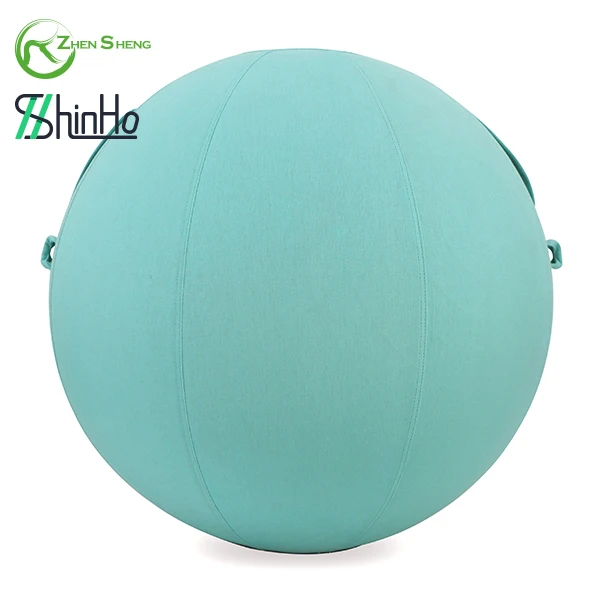 Zhensheng Exercise Ball Covers Yoga Ball Cover Gym Ball Covers Buy