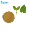 Wholesale Customized Service Organic Melissa Officinalis Leaf Extract