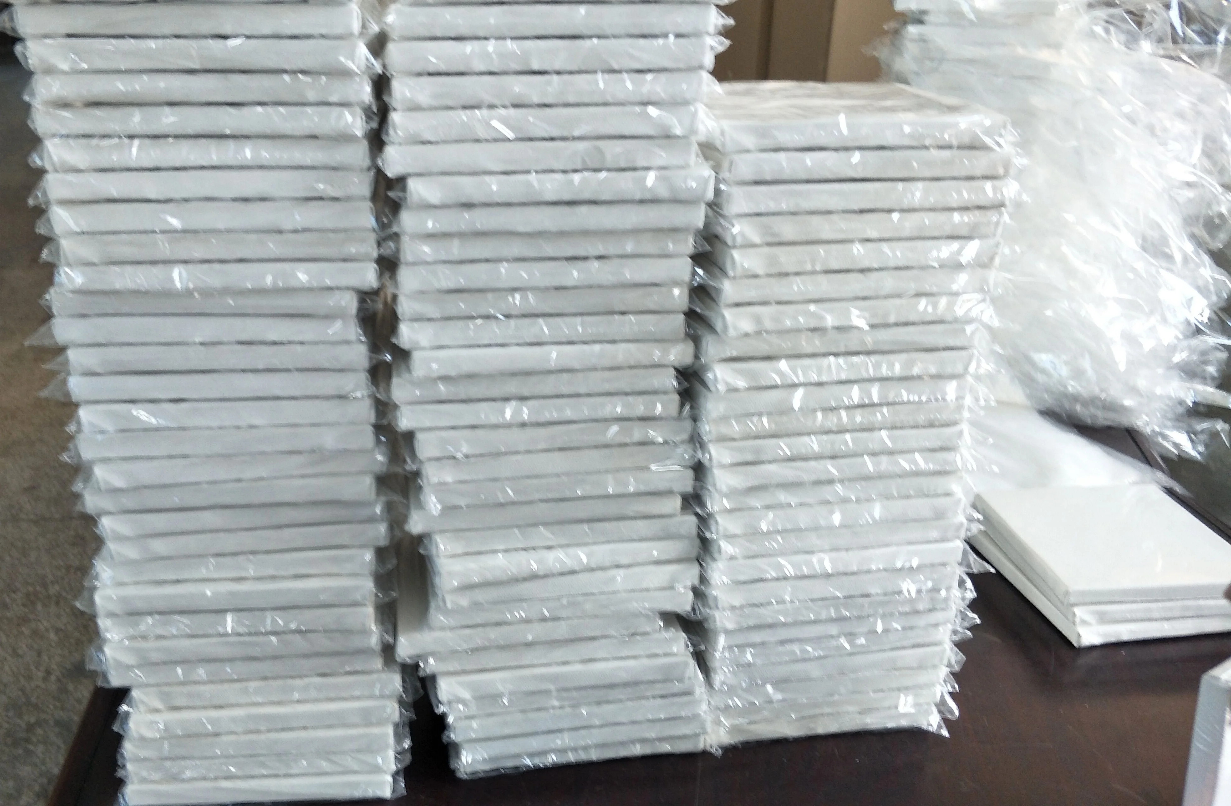 blank canvas 03.jpg