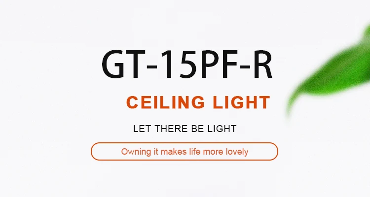 GT-15PF-R_01