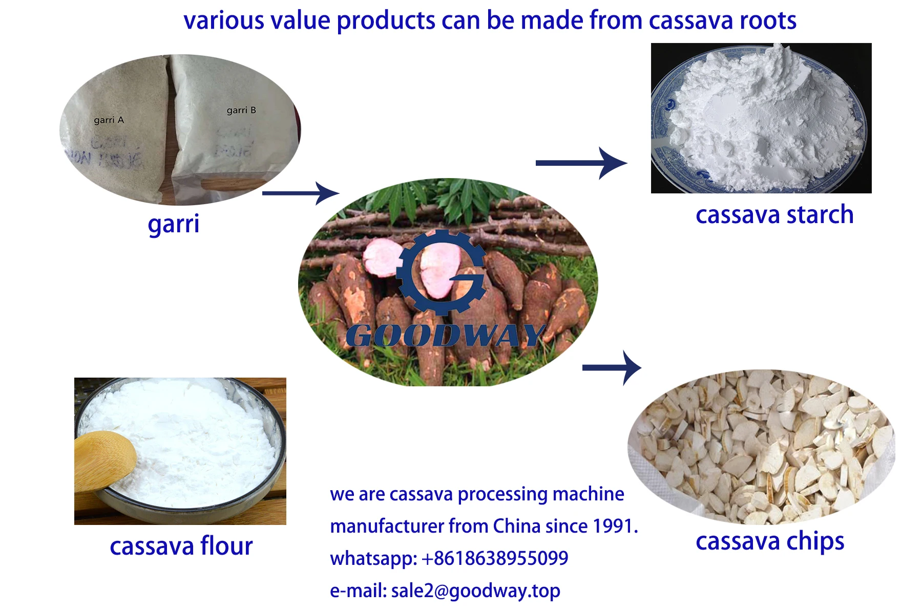 Cassava sciences акции. Starch Marks.