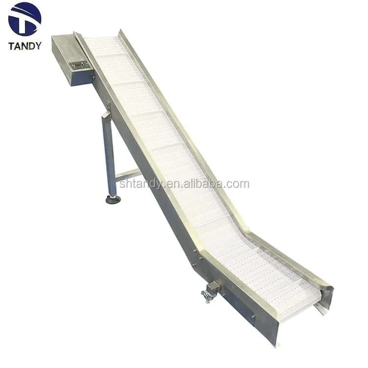chain conveyor 3B.jpg